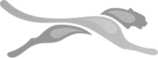 B.P. Solutions & Marketing